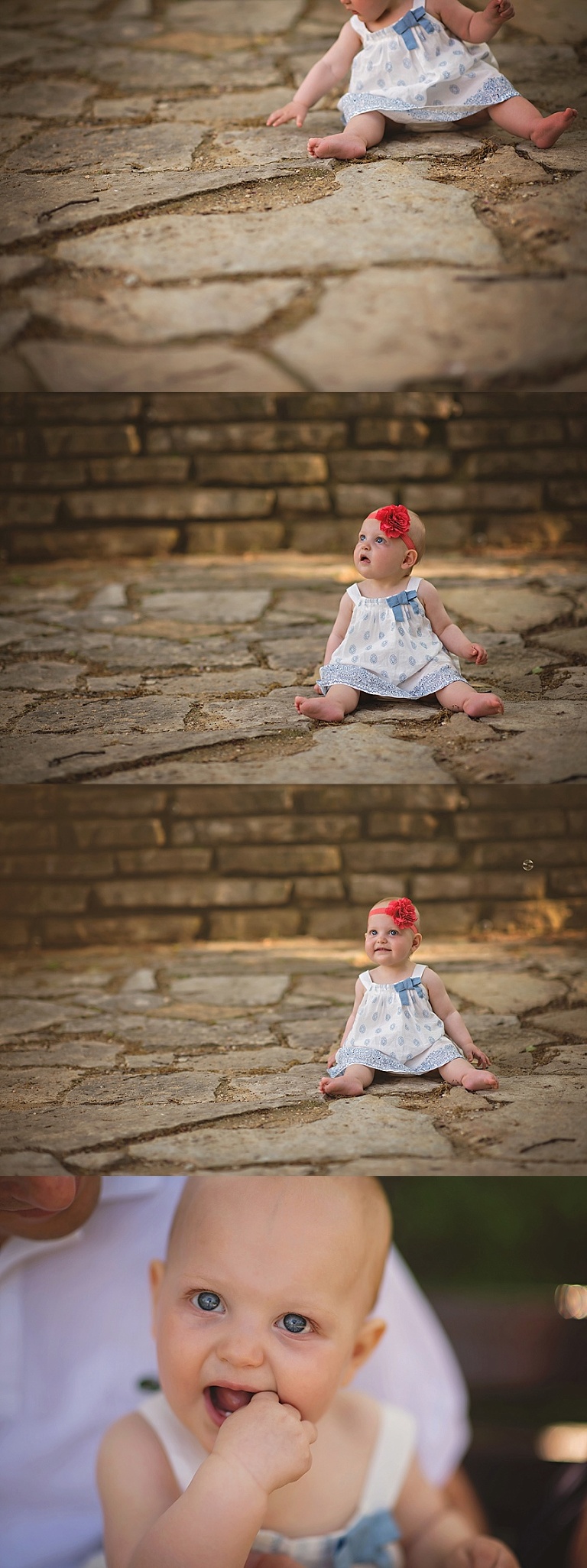 Western Springs Photographer