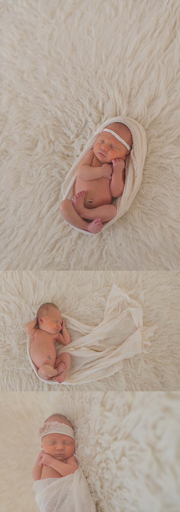 Western Springs Photographer