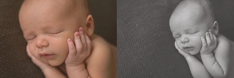 Western Springs Photographer