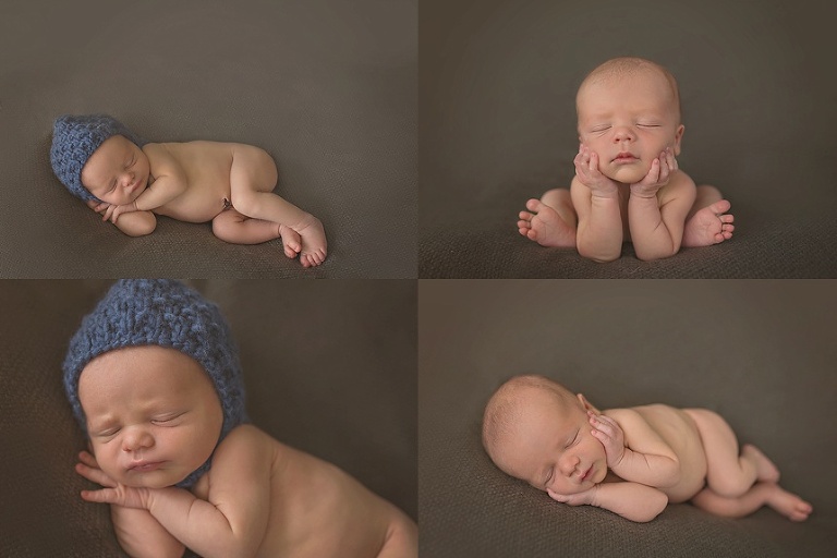 Western Springs Photographer