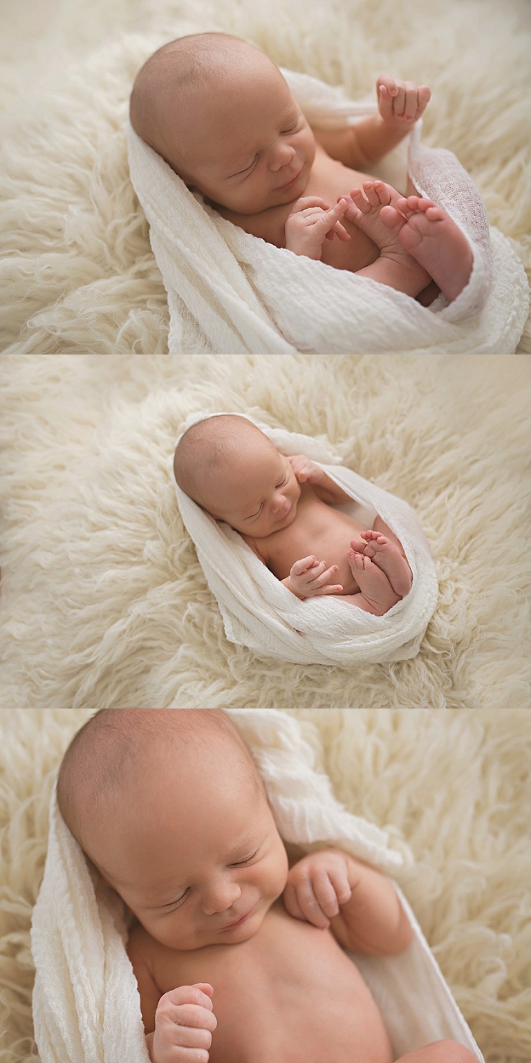 Western Springs Photographer