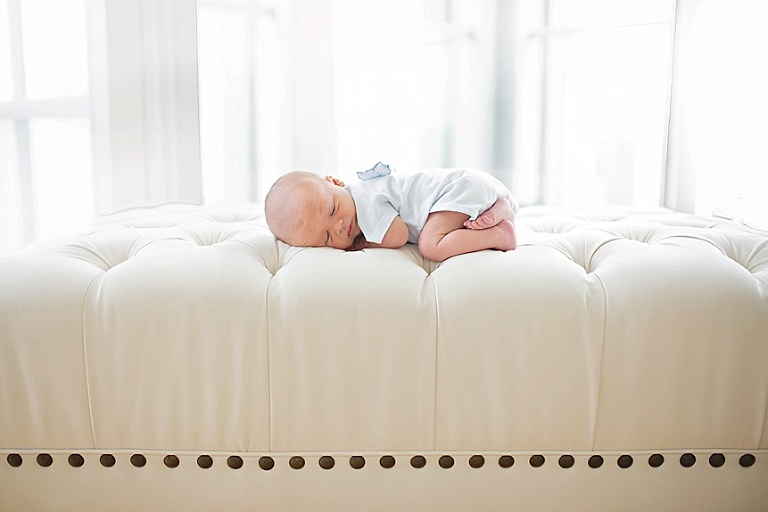 Western Springs Photographer