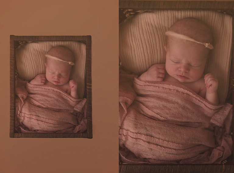 Chicago Family Photographer