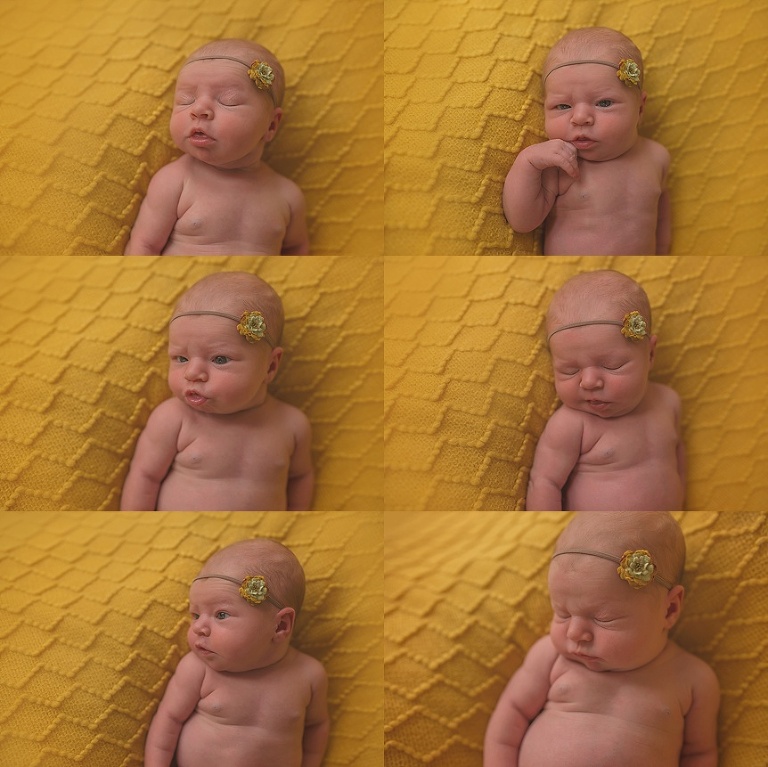 Chicago Family Photographer